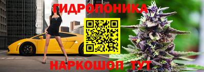 стафф Волжск