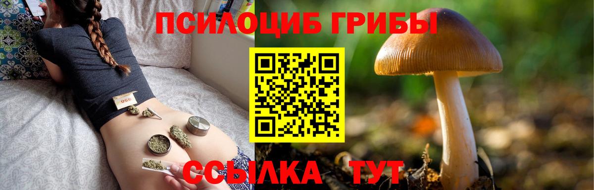 Галлюциногенные грибы Magic Shrooms Новошахтинск